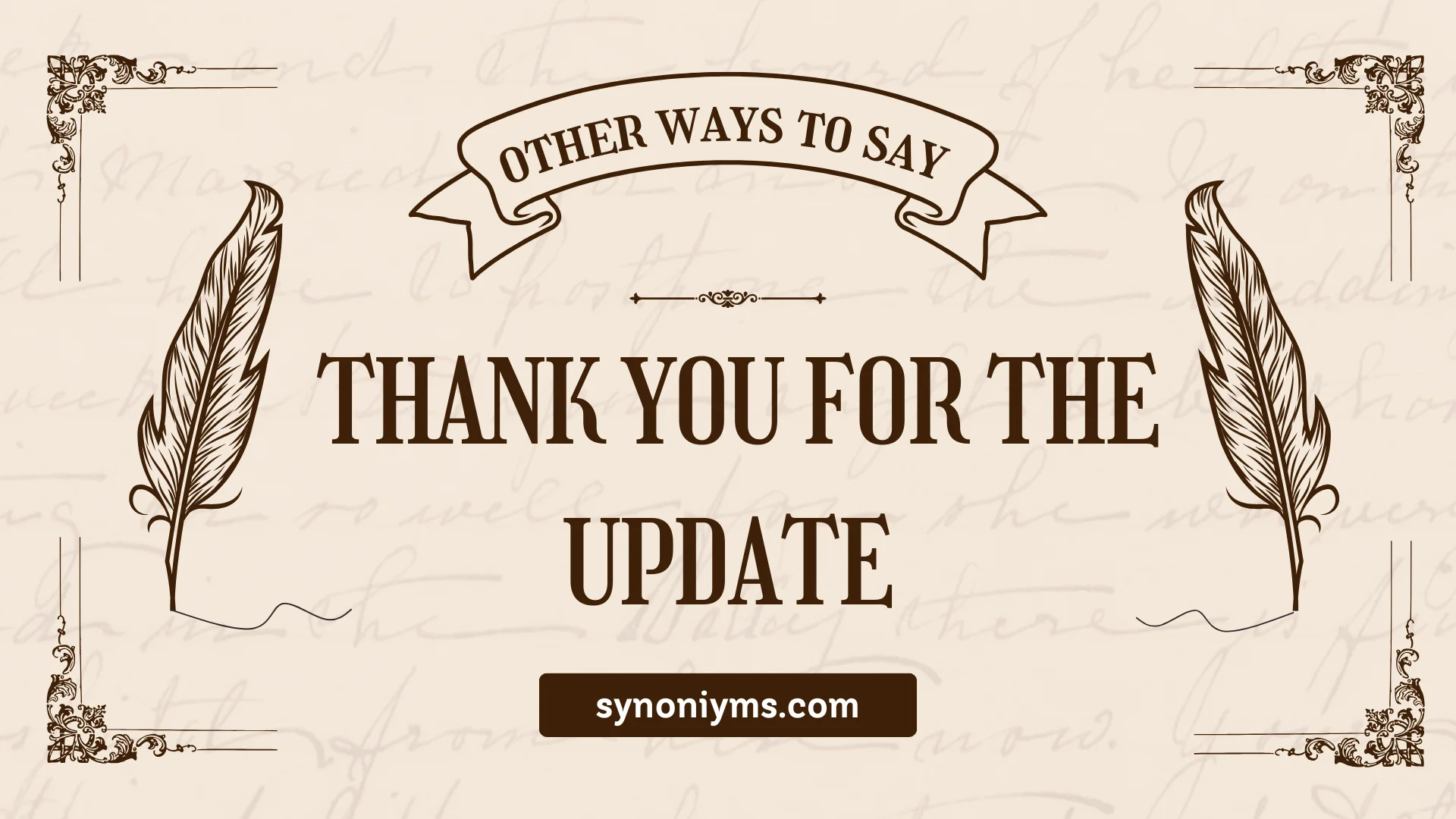 professional ways to say thank you for the update