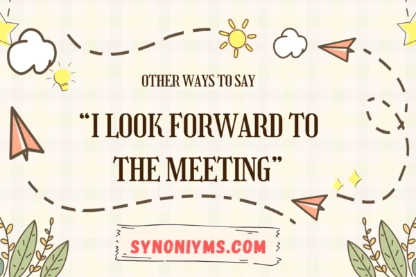 other ways to say i look forward to the meeting