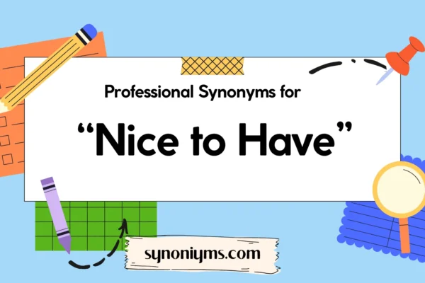professional synonyms for nice to have