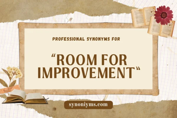 professional synonyms for room for improvement