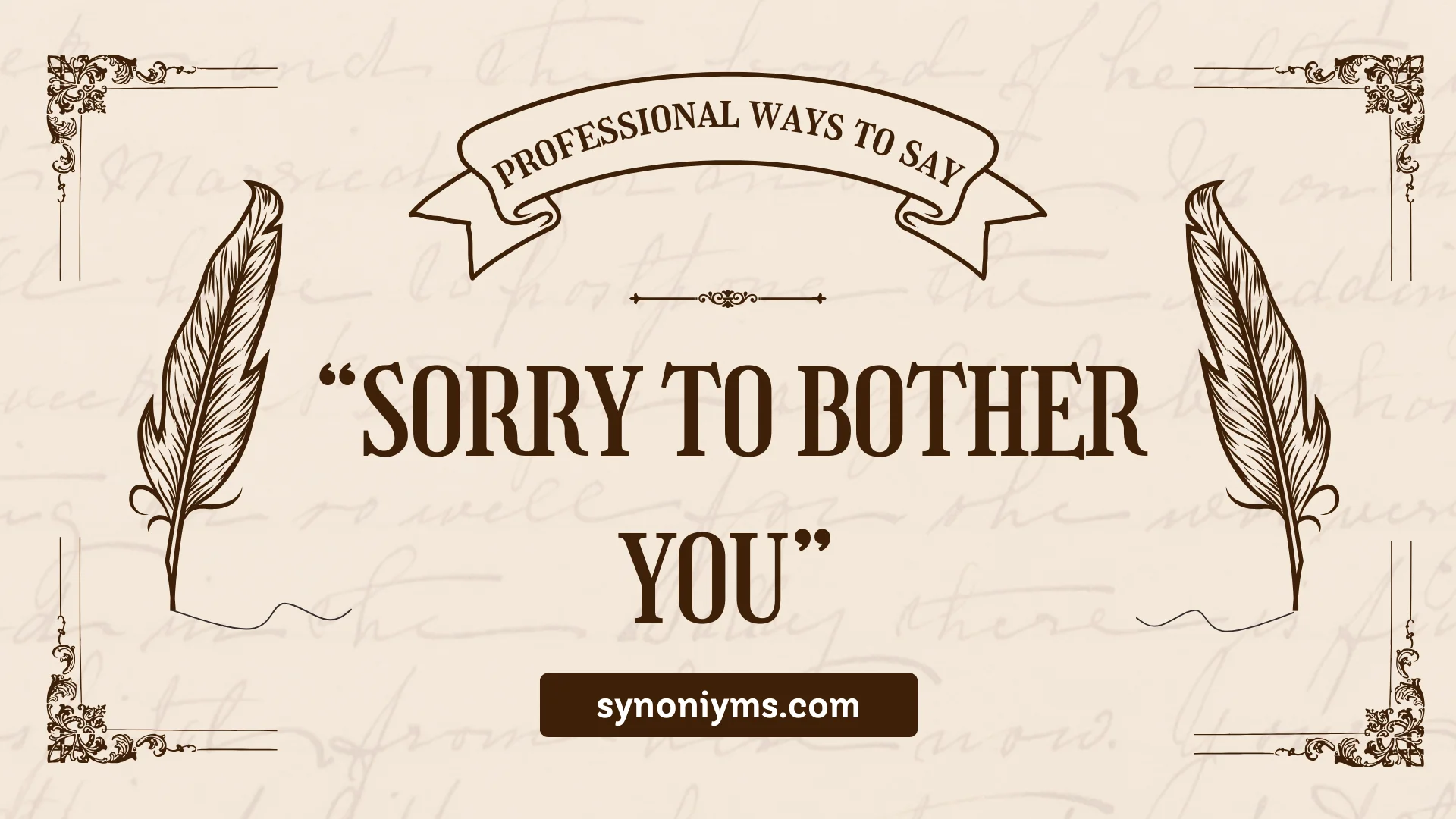 professional ways to say sorry to bother you