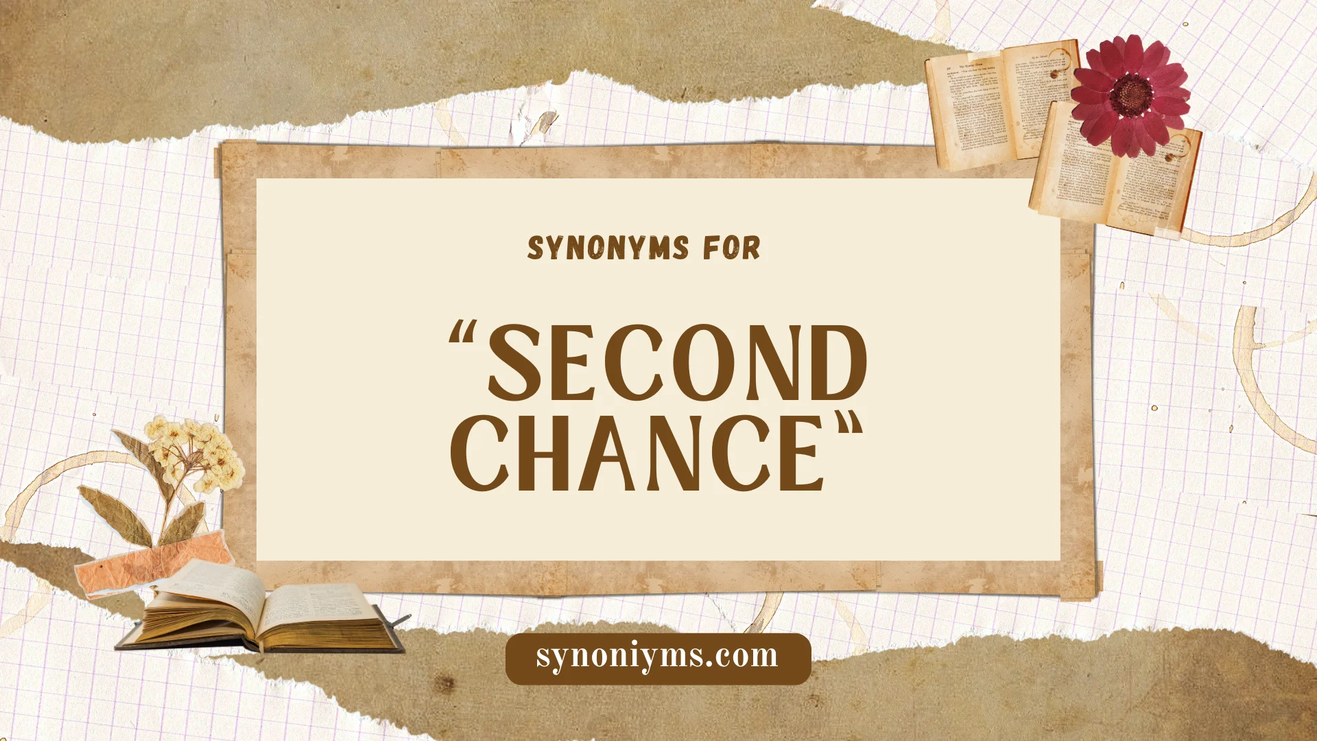 synonyms for second chance